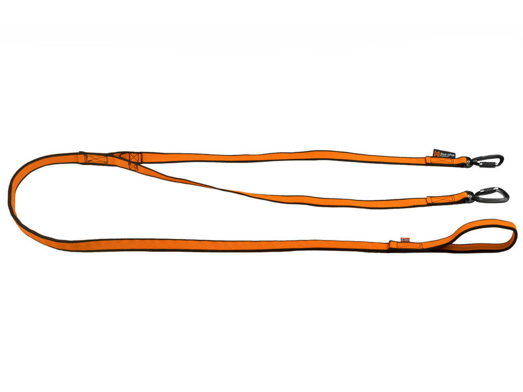Bungee Leash Double