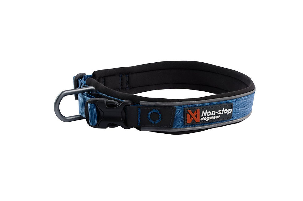 Thumbnail: Roam Collar (BF)