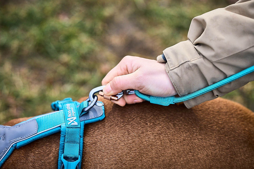 Thumbnail: Trekking Rope Leash