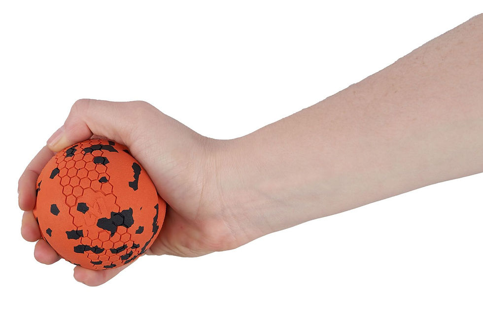 Thumbnail: Dog Ball