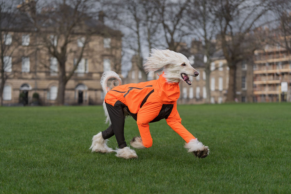 Miniature : Fjord Overall Raincoat (BF)