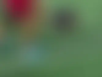 Die am schnellst wachsende Sportart Amerikas