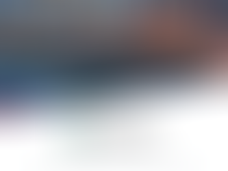 COVERAGE REPORT FROM THE END OF NOVEMBER TO DECEMBER 2022