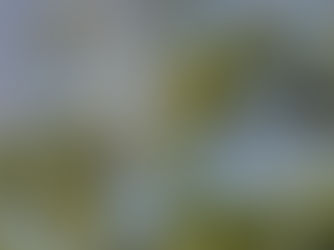 Simple things you can do to improve the environment for ourselves and neighbours