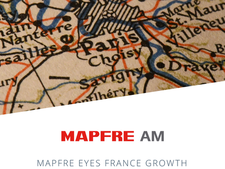 MAPFRE EYES FRANCE GROWTH THROUGH HIKE IN LFR STAKE