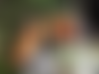 Ashtead alley cleaning outfit gets new kit