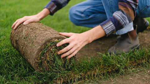HOW TO MEASURE FOR SOD: A STEP-BY-STEP GUIDE