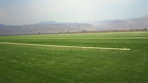 THE COMPLETE SOD MEASUREMENT GUIDE: MEASURING FOR SOD MADE EASY