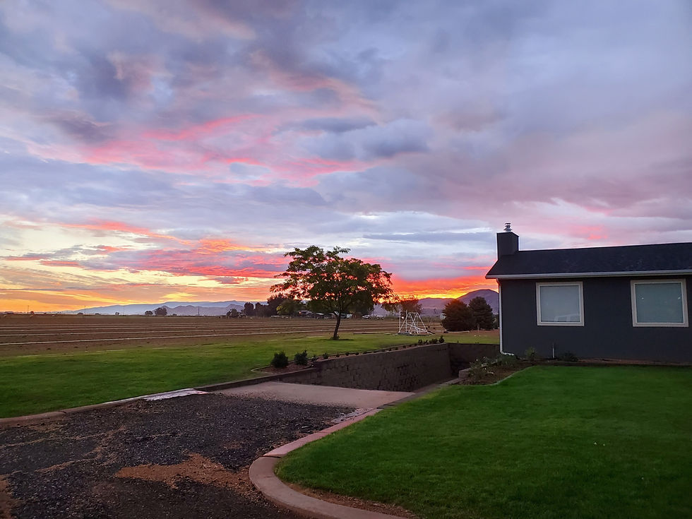 Natural grass actively increases rainfall, cools the air, and strengthens the water cycle. Calling artificial turf 'turf' is an insult to natural grass — here's why living lawns are far better for Utah and the environment.