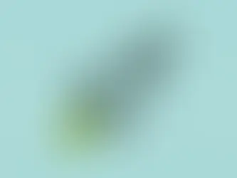 The Lean Marketing Playbook: Growth Strategies That Do Not Break the Bank