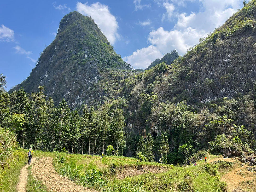 WhatsApp Image 2025-05-07 à 08.23.08_7b25ea60.jpg