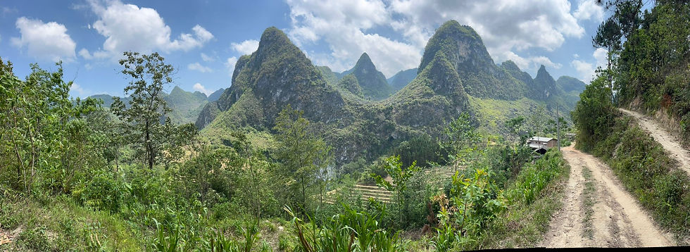 WhatsApp Image 2025-05-07 à 08.23.09_28b64fec.jpg