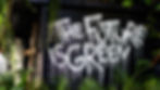 Graffiti by #DFTE reading 'The Future is Green' on a side wall of the houseplant studio
