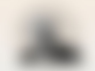 The Physics of Warren Buffett’s Investment Strategy