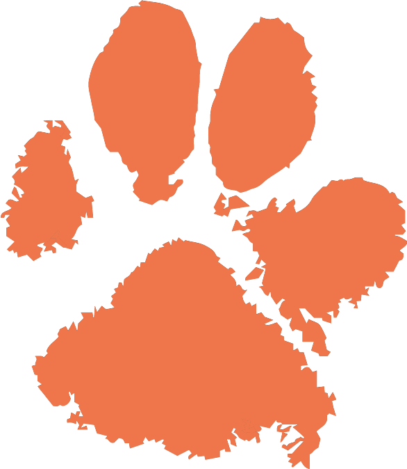 transparent for albums 3.png