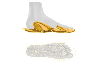 sketch 1-1 拷贝4.png