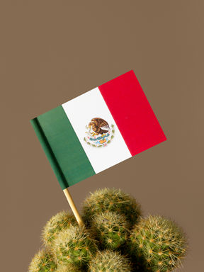 EL MINIMATO