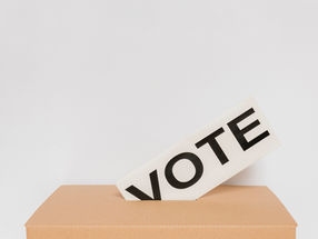 Reforma Electoral, el parto de los montes