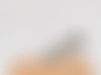 Reforma Electoral, el parto de los montes