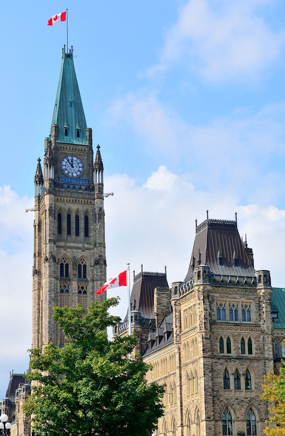 GUERRA CON CANADA