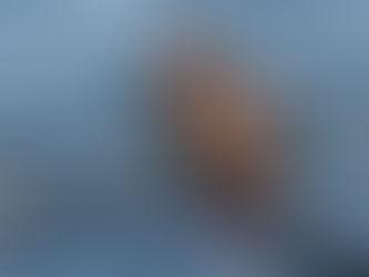 Head of the Charles 2022
James Wright of the Victorious 4+ Shares his Experience