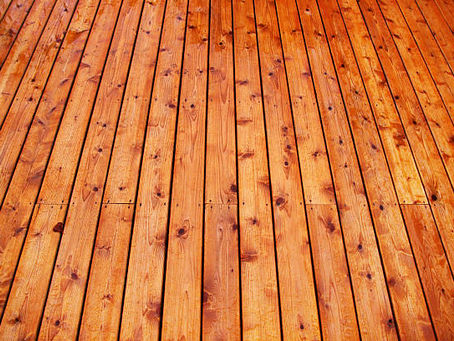 Cedar, Which Cedar?