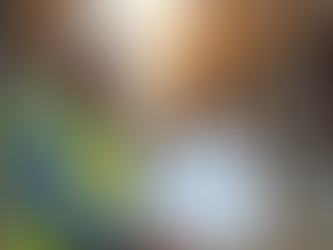 Why Hiring Licensed Professionals is Crucial for Your Project