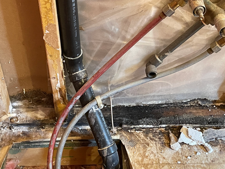 Dry Rot - Catch It - Stop It - Prevent It
