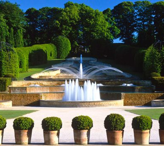 the alnwick garden.jpeg