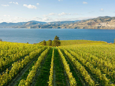 National Geographic Names Kelowna Among the World's Best Food Experiences