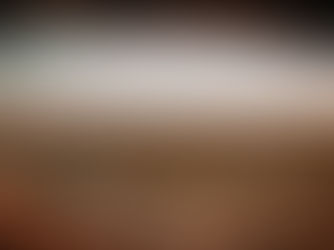 Kicking Off the Year with NALCAB in Phoenix