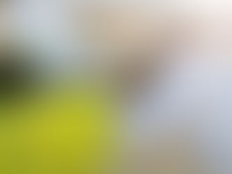 Home Sales Hit a Record-Setting Rebound