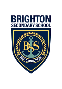 bss-logo for website.png