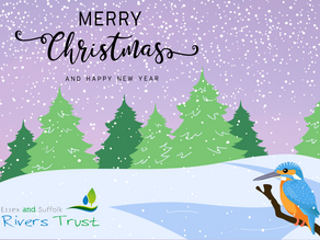 Season's Greetings!