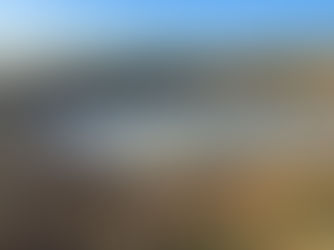 ESRT contribute to National Water Net Gain scoping study