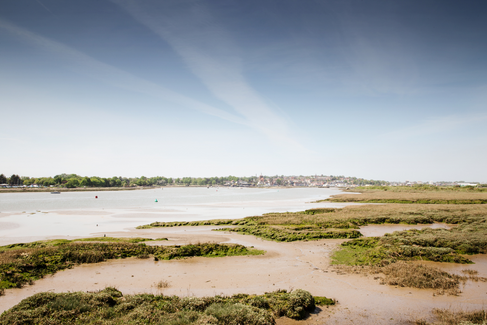 Marshland along the river in Maldon, Essex 