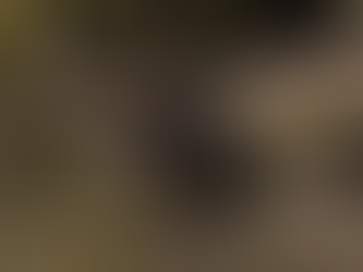 Beaver kits bring joy at Spains Hall