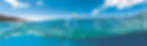 Ocean_plastic_bottle_floating_banner_web cropped.jpg
