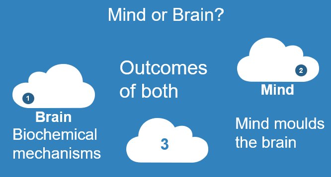 Mind or Brain?