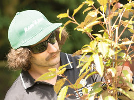 Will the next generation of landscapers work differently?