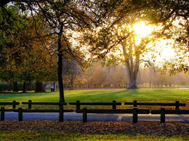 Christchurch professionalism benchmark
