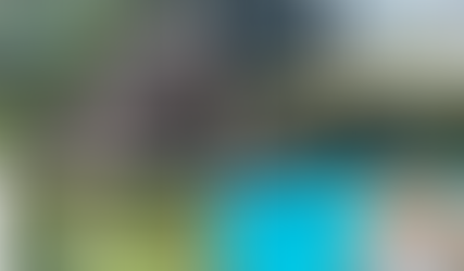 Shaping landscapes and our industry