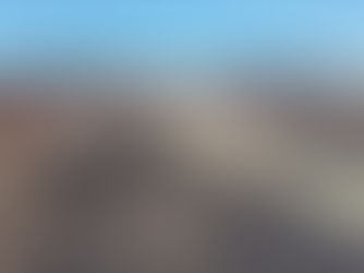 Burnt landscape