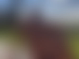 CLIMBING FOR VICTORY