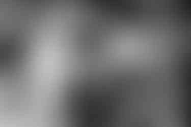 The bride and groom with Ralph their dog