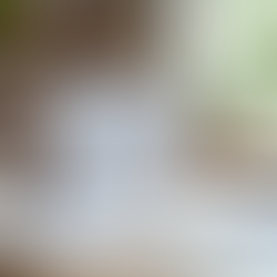 Wedding Planning Without the Overwhelm: A Calm, Realistic Guide From a Wedding Photographer.... 