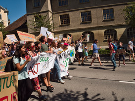 P1266623.jpeg