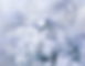Thumbnail: Blue Mist