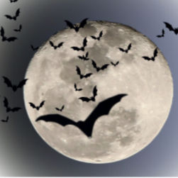 Thumbnail: Halloween