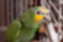 DSC03642.jpg